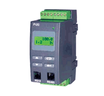 RISHABH P120 Impulses, Revolutions, Frequency Transducers